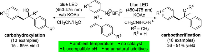 ChemEurJ's tweet image. M. Heinrich et al. @FAU_Germany carried out Meerwein-type carbooxygenations under #biocompatible conditions at room temperature and w/o catalysts or unnatural additives onlinelibrary.wiley.com/doi/10.1002/ch…