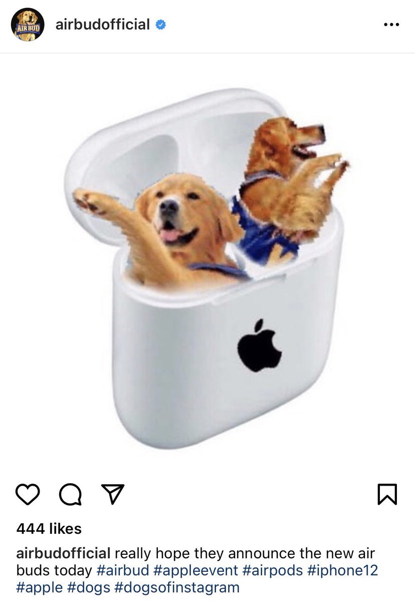 CaucasianJames's tweet photo. who runs the air bud instagram account this has to be the most disrespectful thing i’ve ever seen https://t.co/NrYP1p3gvZ