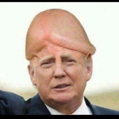 LaurieWalters19's tweet photo. We always knew #TrumpIsADickhead https://t.co/aMfmR4N1Z4