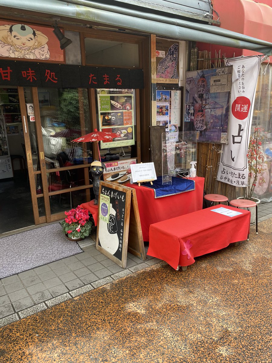猫 占い Neko Koiura Twitter
