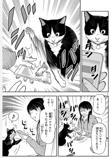 灘谷航 猫暮らしのゲーマーさん 1 6巻発売中 Nadatani さんのマンガ一覧 リツイート順 ツイコミ 仮 灘谷航 猫暮らしのゲーマーさん 1 6巻発売中 Nadatani さんのマンガ一覧 リツイート順 ツイコミ 仮