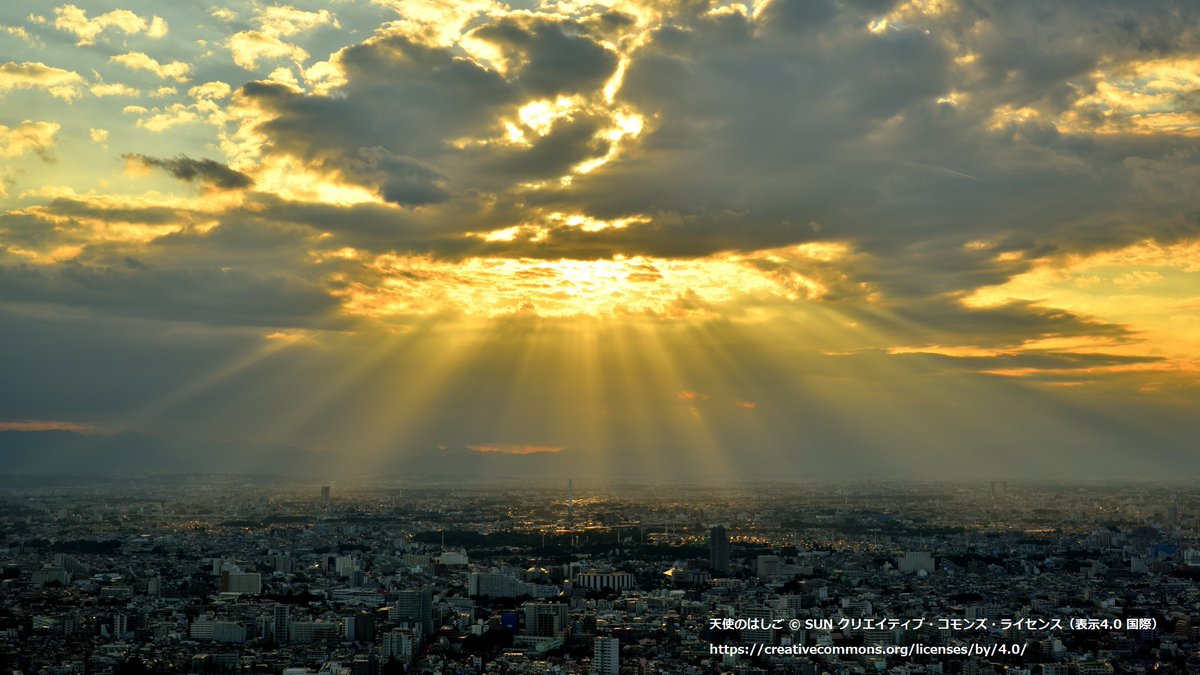 Web_Japan's tweet photo. #CrepuscularRays viewed from the observatory on 45th floor at #Tokyo Metropolitan Government Building.
May the happiness &amp; love always shine on you in 2021, like this picture!
#VirtualTripToJapan #DreamNowTravelLater 
@MofaJapan_ITPR https://t.co/2GglfnQMVQ