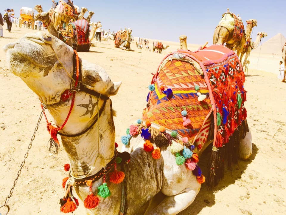 TZ_architecture's tweet image. ネットビジネスやってみたいけど
時間無いから落ち着いてから、、

何か始めるのに、完璧な状態なんてありません
知識だけあっても意味ありませんし

そもそも行動しないと何もわかりません

「行動力」こそが何よりも大事です

以外と、その時の不安や恐怖は大した事では無い事が分かります