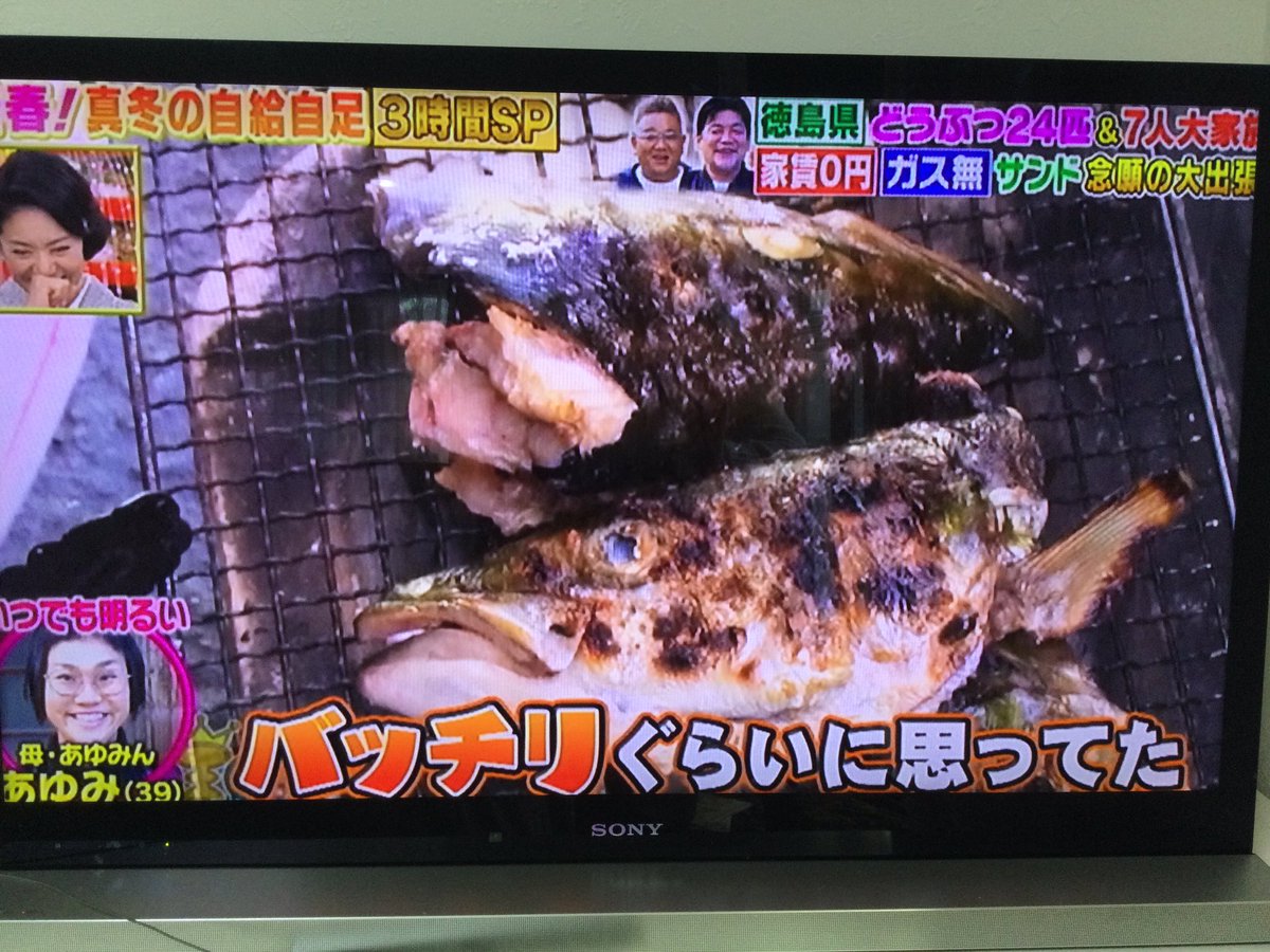廣川家 Twitter Search Twitter 廣川家 Twitter Search Twitter