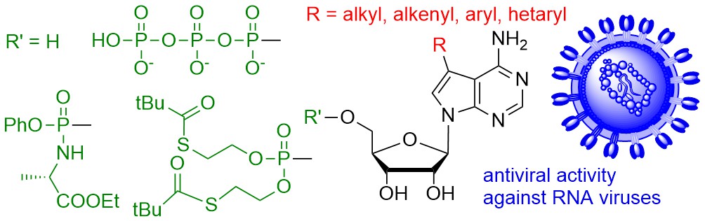 Our new paper on activity of base-modified nucleosides and prodrugs against RNA viruses (incl. SARS-CoV-2) published on-line doi.org/10.1021/acsinf… <a href="/IOCBPrague/">IOCB Prague</a> <a href="/UniKarlova/">Univerzita Karlova</a>