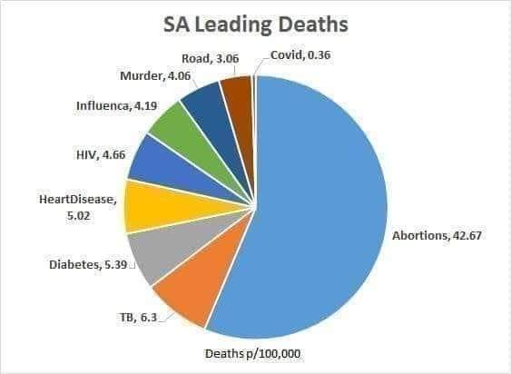 joubertac's tweet photo. Why is an entire country's economy brought to its knees when the deaths from Covit 19 in the country make up less than half a percent of all deaths?
@Corruption_SA @NPA_Prosecutes @VFPlus @CyrilRamaphosa @PresidencyZA @MYANC @Our_DA 
#VoetsekANC #ANCisCorrupt #looting #Corruption https://t.co/JVRASaWIhh