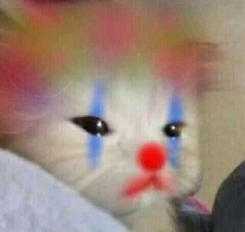 MaxiangPics's tweet photo. @pranksterjyo You don’t clown me like that. I’m sad https://t.co/bXbdyzQvV9