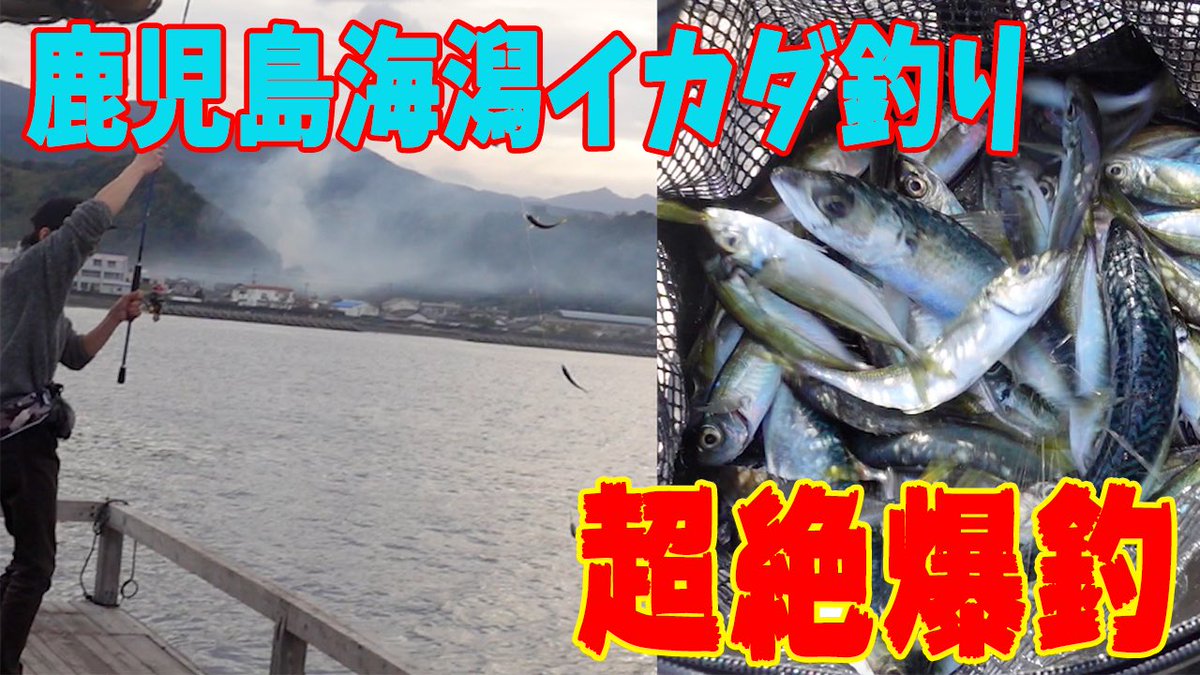 リボンchannel 今年一発目は釣り動画です リボンの釣り日記 22 錦江湾 海潟筏釣りで大爆釣 21年初釣り 鹿児島釣り T Co Bj9wz2jgyf