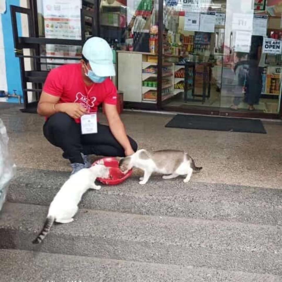 AKFanimalrescue's tweet photo. (1/6) 2020 dealt AKF with some paralyzing blows. The #COVID19 pandemic was heart wrenching for both humans and animals as stray animals were left hungrier and shelters with no source of support. #WeFeedAsOne #AKFanimalprotection https://t.co/ttBLKM4X8Z