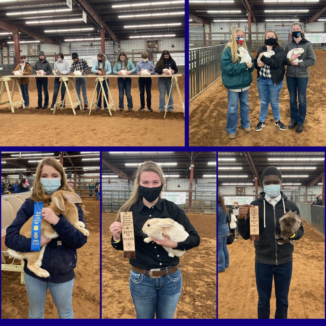 Prosper FFA tweet media