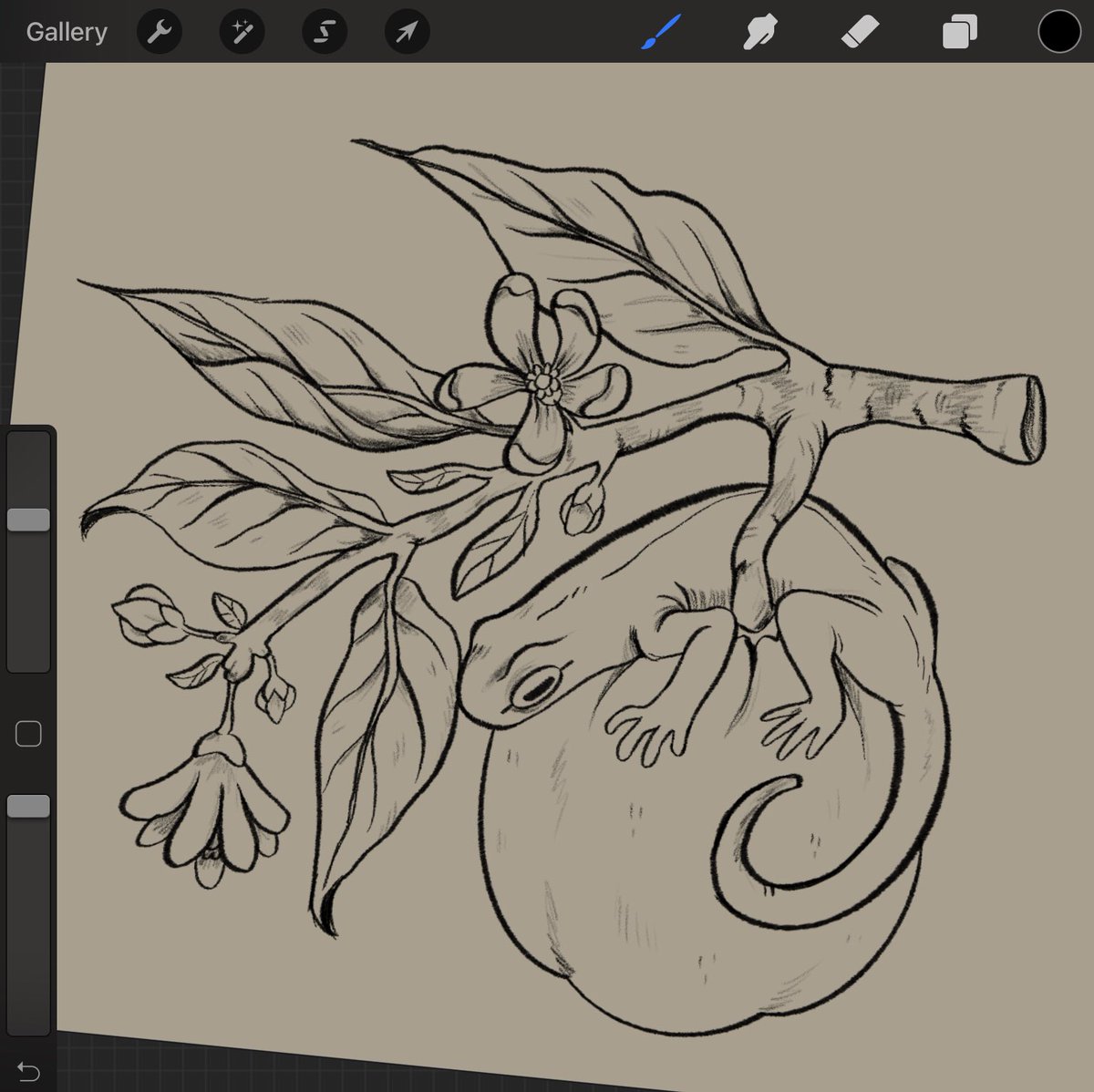 I don't share WIPS often but I really like these lines 