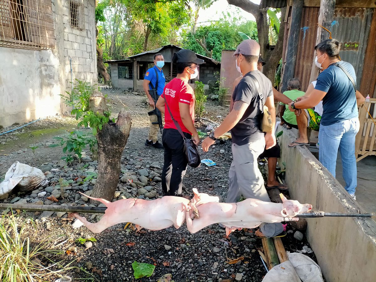 AKFanimalrescue's tweet photo. (5/6) nabbed dog traders from Zambales to Nueva Ecija; and also continued our spay, neuter, vaccination programs.
#EndDogMeatTrade #AKFAnimalProtection #KaponAngSolusyon https://t.co/PJMgry3dfZ