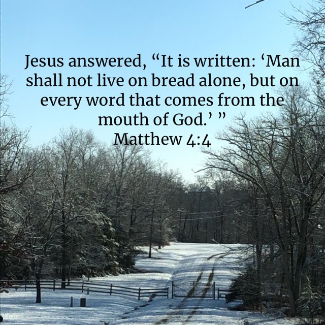 bible.com/111/mat.4.4.niv