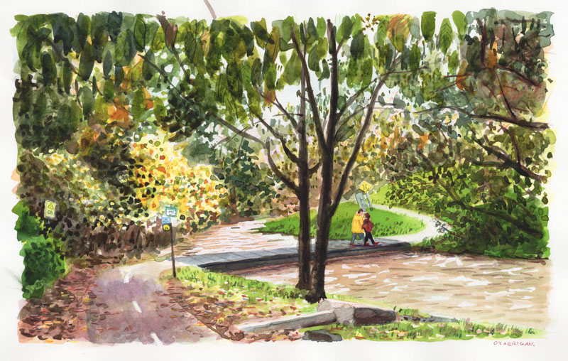 Simon O'Carrigan tweet media