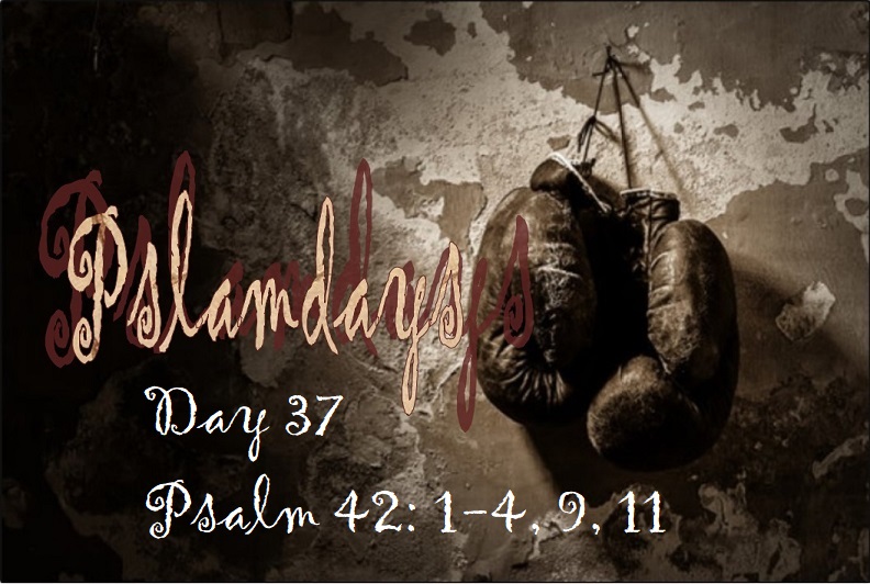 gotGodship's tweet photo. As the deer pants for water my soul pants, thirsts for the living God. When can I meet God? Tears have been my food, people say “Where is your God?” I used to go to the house of God with joy &amp; praise. Why have you forgotten me? My soul downcast? Hope in God, I will yet praise him https://t.co/jrf3HmXevC