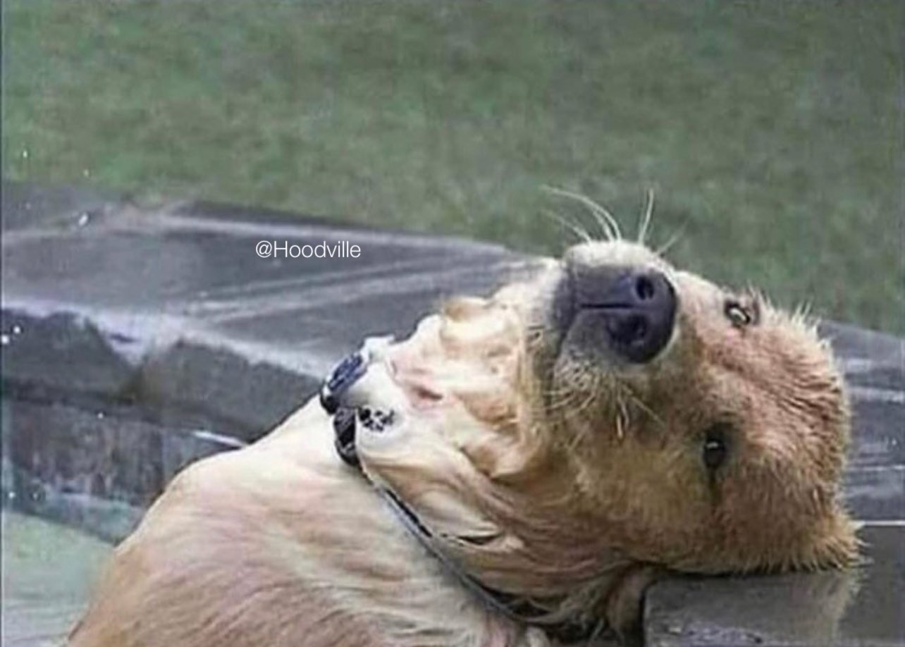 Hoodville When She Text You I Haven T Gotten My Period Yet