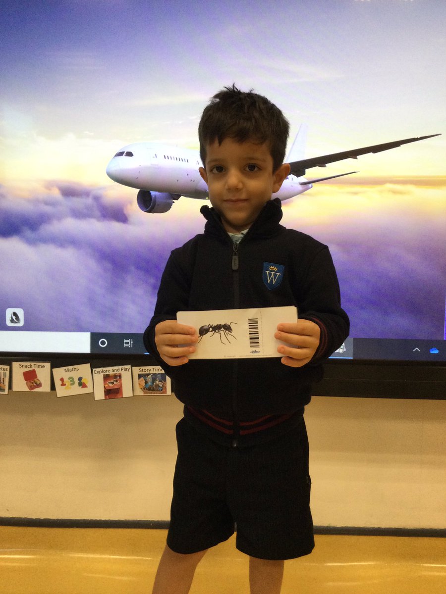 WPS_FS1's tweet photo. 🐜 Welcome aboard Ants Airlines, wishing you a pleasant flight as we travel through our new topic Terrific Transport #FS1A https://t.co/tA5RjeYjAz