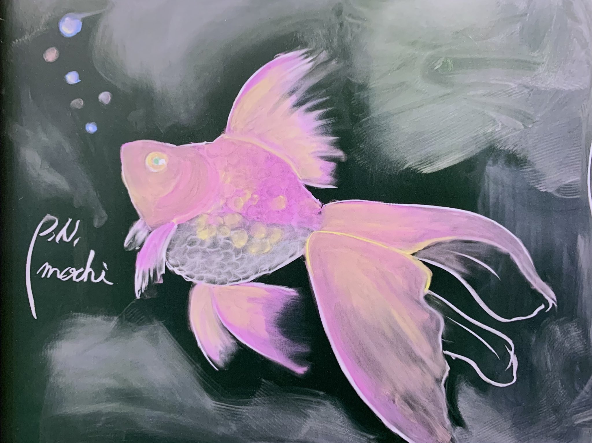 望 望のえにっき イラスト 黒板アート 金魚 学校 黒板 チョーク T Co Nmp6dpl9rq Twitter