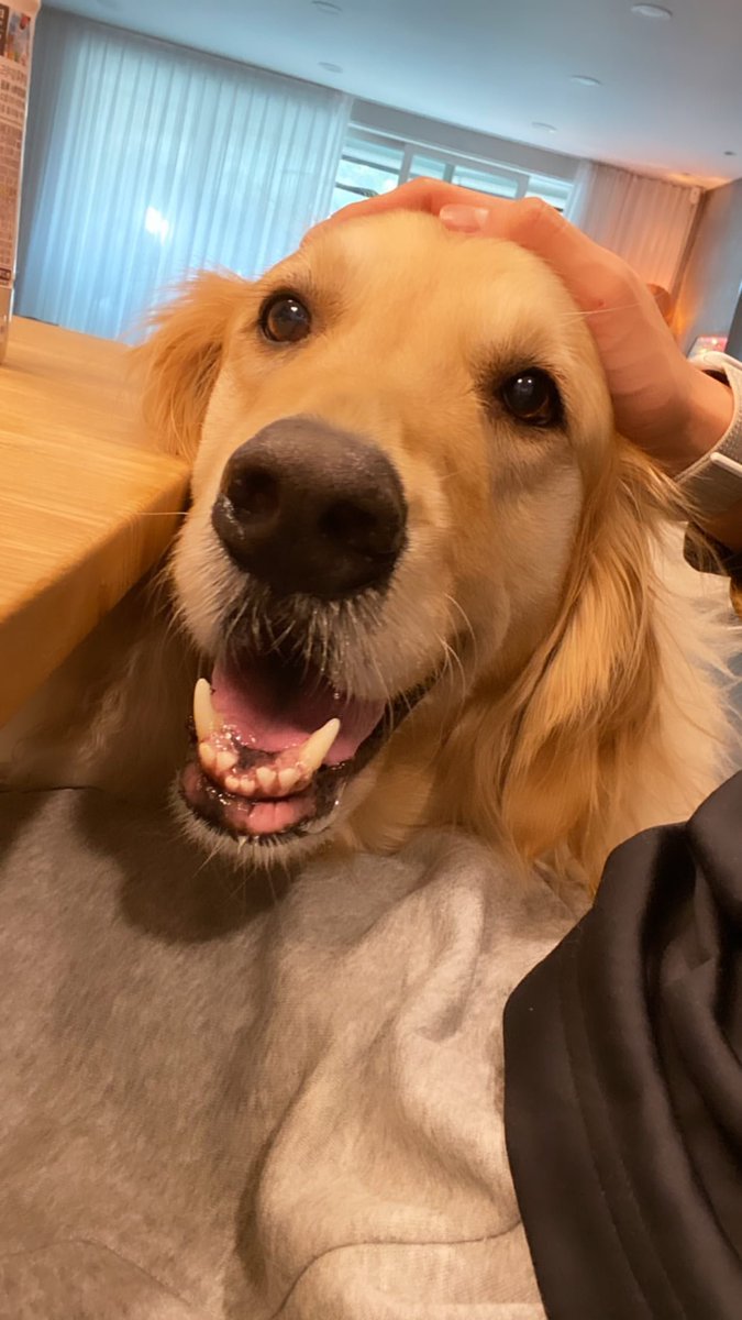 JungShin IG story!😃
#RE_CODE #Then_Now_and_Forever #LeeJungShin #CNBLUE #이정신 #JungShin <a href="/MentalShin/">이정신</a> #KangMinHyuk #YongHwa <a href="/official_CNBLUE/">CNBLUE</a>