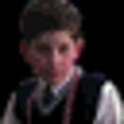 Adult Sheaf of Rice tweet media