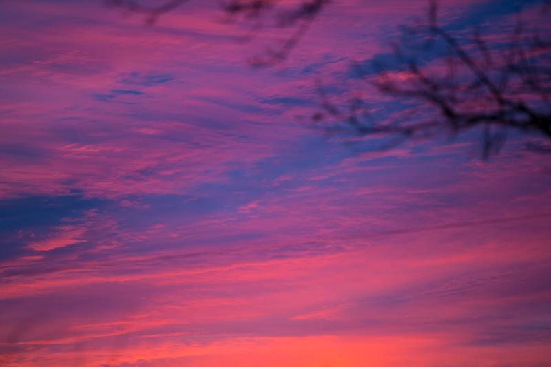 DGillettPhoto's tweet photo. My December project, is now live on my website. Six photographs taken on Christmas Day. I call this project "A slightly different Christmas": https://t.co/ZvrON2WQ6H

#Christmas
#Christmas2020
#ChristmasDay
#sunset
#Christmaslights https://t.co/9dtYV0vmuR