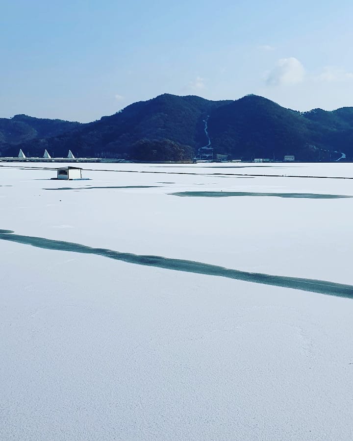 요리연구가 이보은 tweet media
