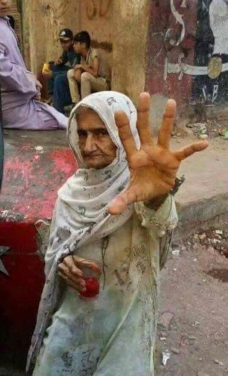 Katta siklarning havaskor fotosuratlari