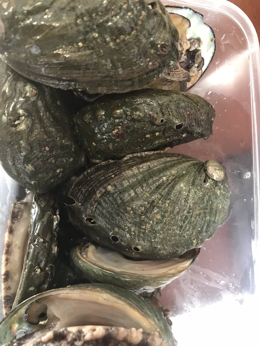 プリヒル姉さん ロンドン魚屋 旨味があってジューシー 程よい貝の歯応え めっちゃ美味しいからね ただし殻が極厚なので調理は時間かかるよ Paloude Clamsあさり あさりね 普通の 砂抜きのコツは塩水はあさりの頭が出るくらいで 新聞とか被して プリヒル姉さん ロンドン魚屋 旨味があってジューシー 程よい貝の歯応え めっちゃ美味しいからね ただし殻が極厚なので調理は時間かかるよ Paloude Clamsあさり あさりね 普通の 砂抜きのコツは塩水はあさりの頭が出るくらいで 新聞とか被して