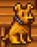 AnimalsPixel's tweet photo. Dog (Stardew Valley) https://t.co/GKuVyO1nr0