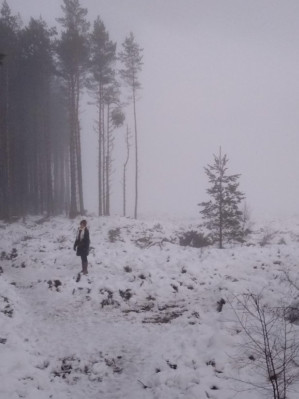 ox5steve's tweet photo. Lockdown in the Highlands, day 2. In winter's grip, day 13 and counting. #lockdown #Highlands #ScotlandLockdown #Snowing https://t.co/4MApvCEi9L