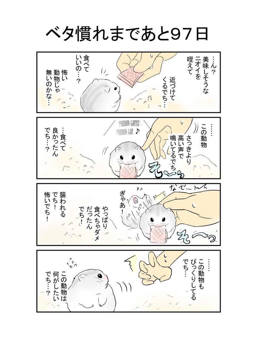 ベタ慣れまであと97日
#ハムスター #落書き #漫画 #漫画が読めるハッシュタグ  #漫画好きな人と繋がりたい 