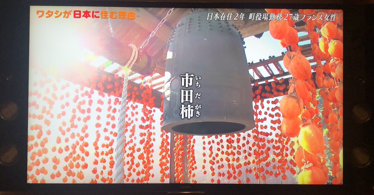 ワタシが日本に住む理由
