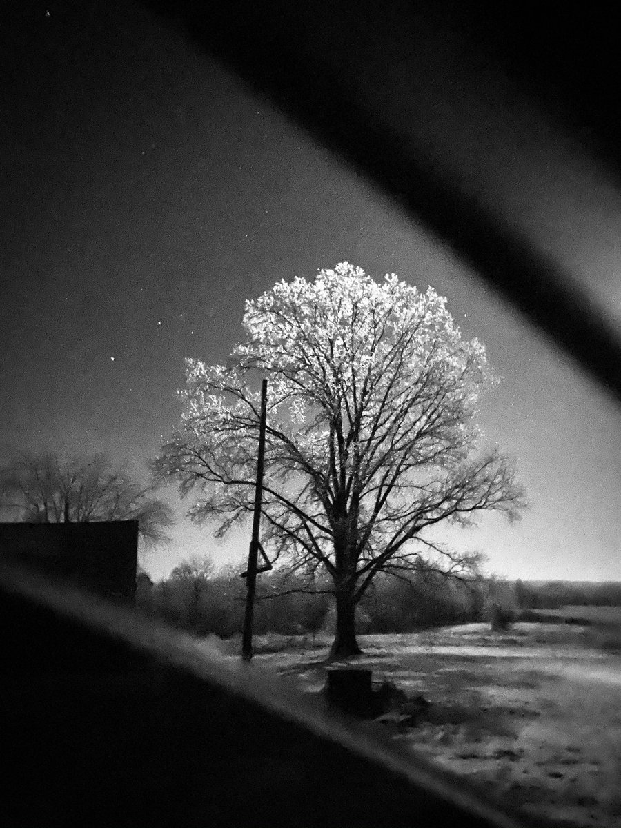 BrownleeJustin's tweet photo. Which is your favorite? 
I went out to bring in some firewood for the stove and was struck by the beauty of the ancient pecan tree covered in ice and bathed in moonlight. I also took a snap a of the old corn crib. #blessed #country #countryliving #ice #moonlight #snow #pecan https://t.co/mQBf7P8b8b