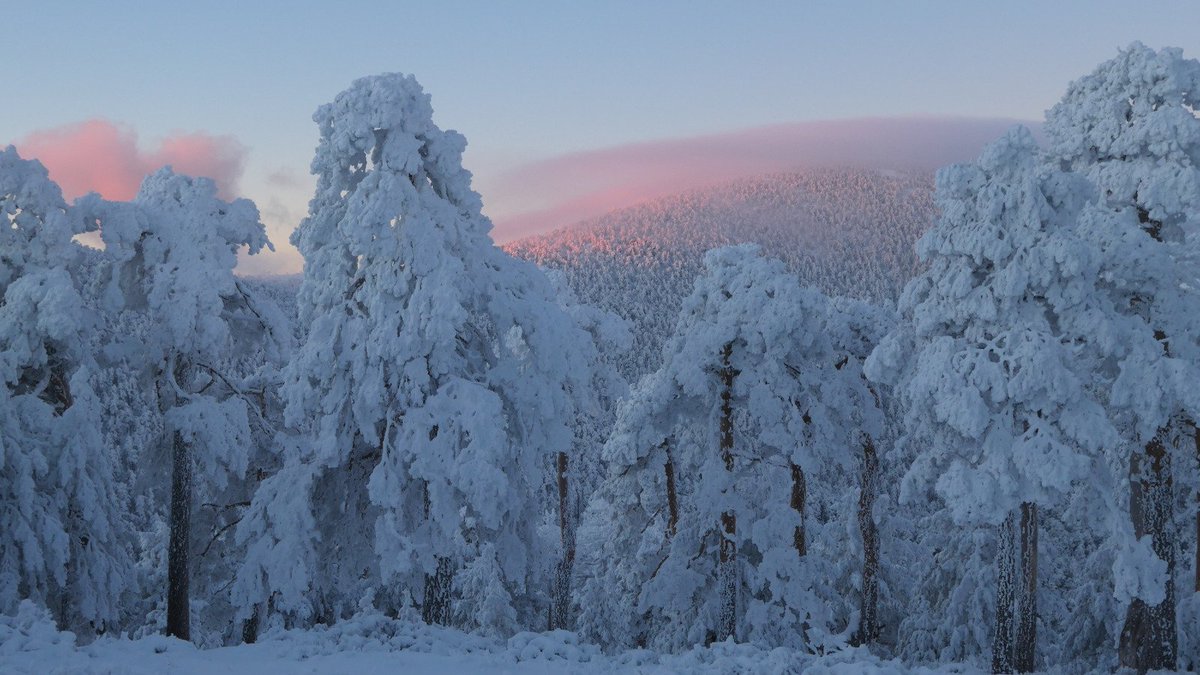 TFCanadas's tweet photo. Frío y espectacular amanecer en la sierra de Guadarrrama. -9.3 ºC en el puerto de Navacerrada, 21 cm de nieve en el suelo https://t.co/JdkOoFLuLs