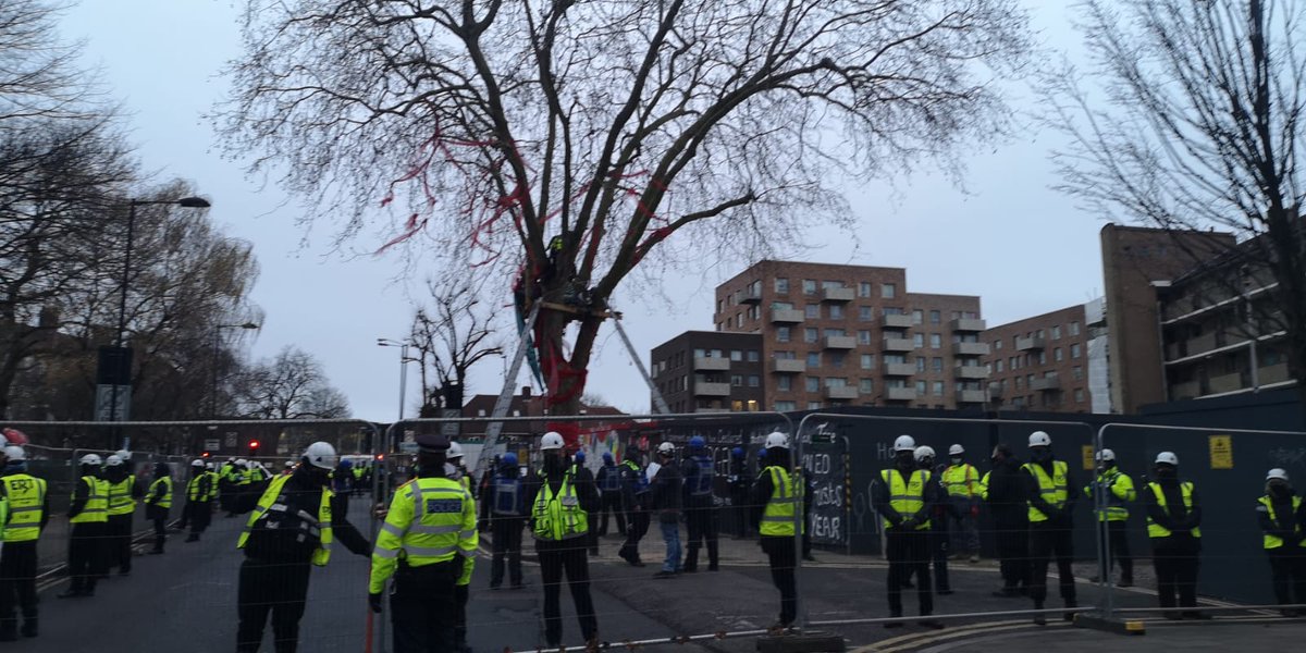 Happening now.
The #HappyManTree is being taken by bailiffs. 
There is a person still in the tree.