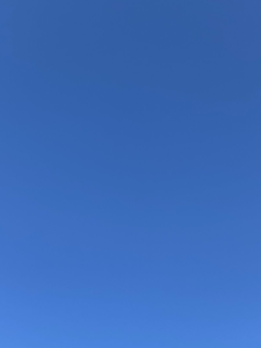 ⭐︎青空⭐︎ 空が青い! #快晴 #雲ひとつない青空 #壁紙 に最適