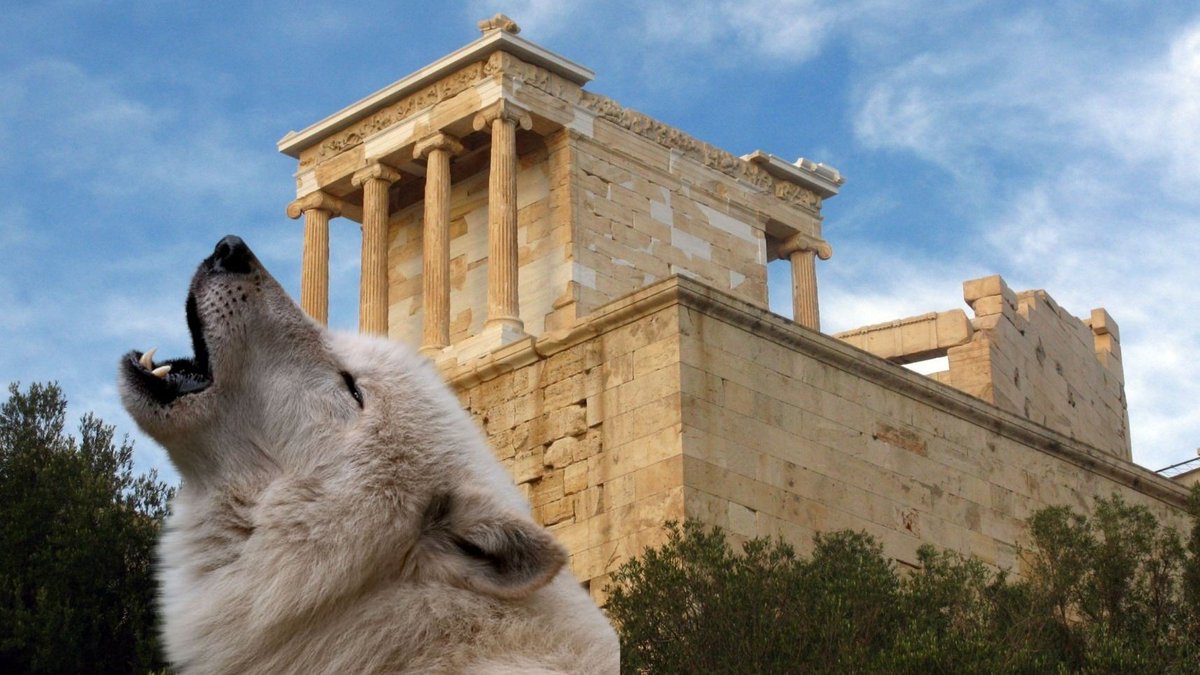 tuCpakoa's tweet image. À Athènes, Aristote enseignait dans un endroit qui avait été auparavant un bois où vivaient des loups. Ce lieu était alors appelé en grec "Lukeon", qui veut dire "endroit des loups". En latin il se dit "Lyceum", et c'est cela qui donna notre mot "lycée".

littre.org/definition/lyc…