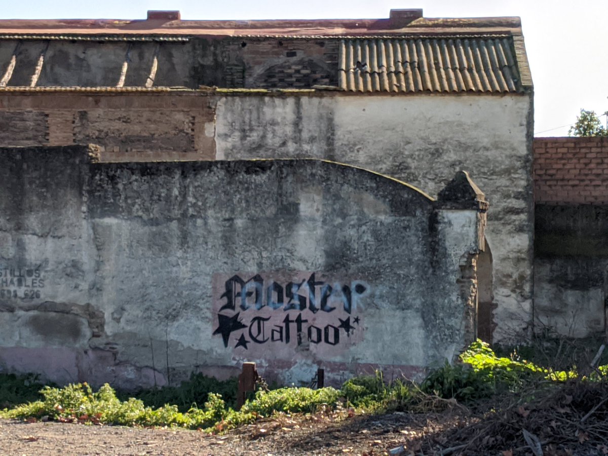 That sure is a lot of ink. But that building is gonna be very upset once it realizes its tattooist can't spell "Monster"...