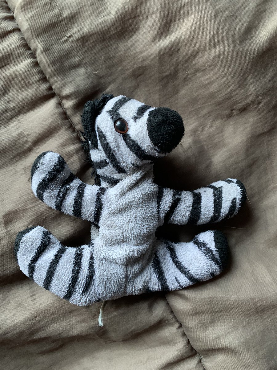 Actualizo este hilo, conmovido y (también) descojonado por tantas historias vuestras, cebrits conservadas y perdidas, remiendos, lavadoras asesinas... Esta es The Cebrit por su lado menos sucio 