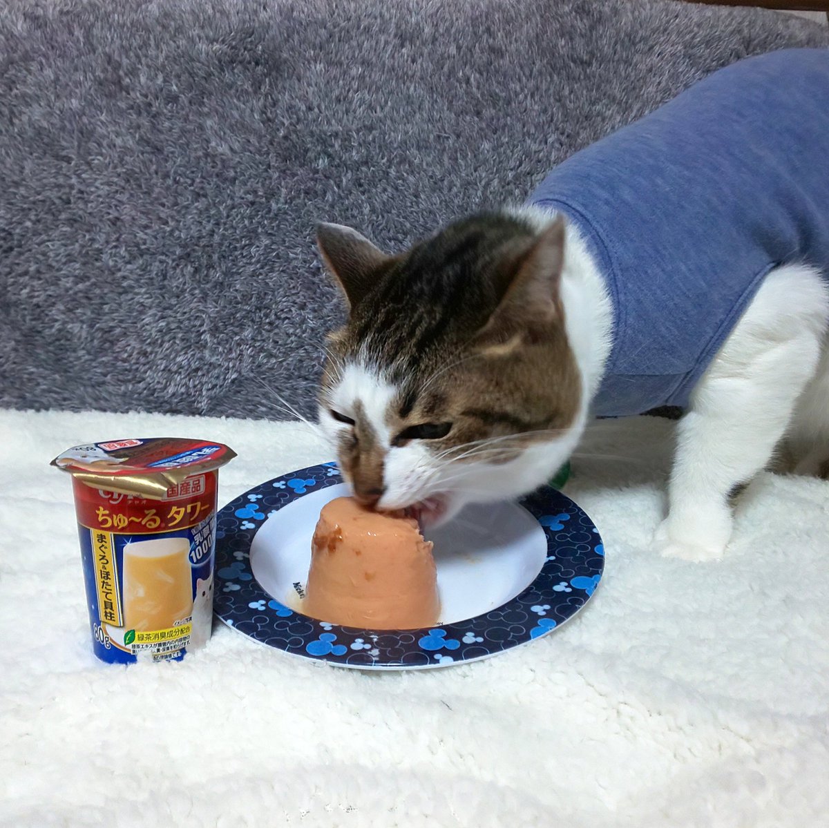 Hashtag ちゅーるタワー Sur Twitter