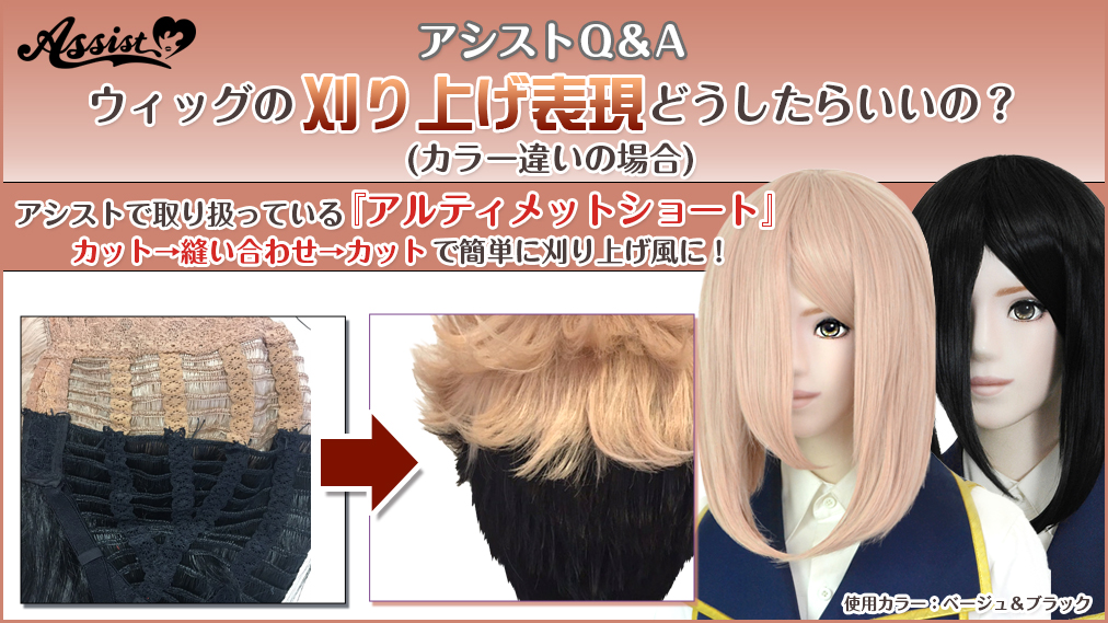 新品特売中 - アシスト ウィッグ 未使用 - 正規 買取 大阪:537円