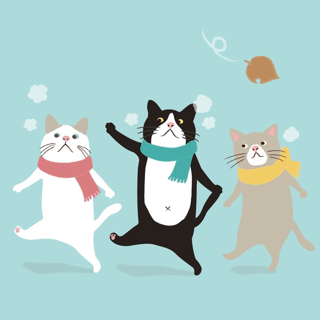 ターチャン (@taachanofficial) / Posts / X