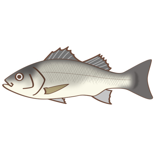 イラスト星人 على تويتر 調査報告563 魚 スズキ T Co 6wyb5igo2k 鱸 イラスト フリー素材 こども園 無料 子供 こども 生物 生き物 魚類 スズキ シーバス イラスト星人 على تويتر 調査報告563 魚 スズキ T Co 6wyb5igo2k 鱸 イラスト フリー素材 こども園 無料 子供 こども 生物 生き物 魚類 スズキ シーバス