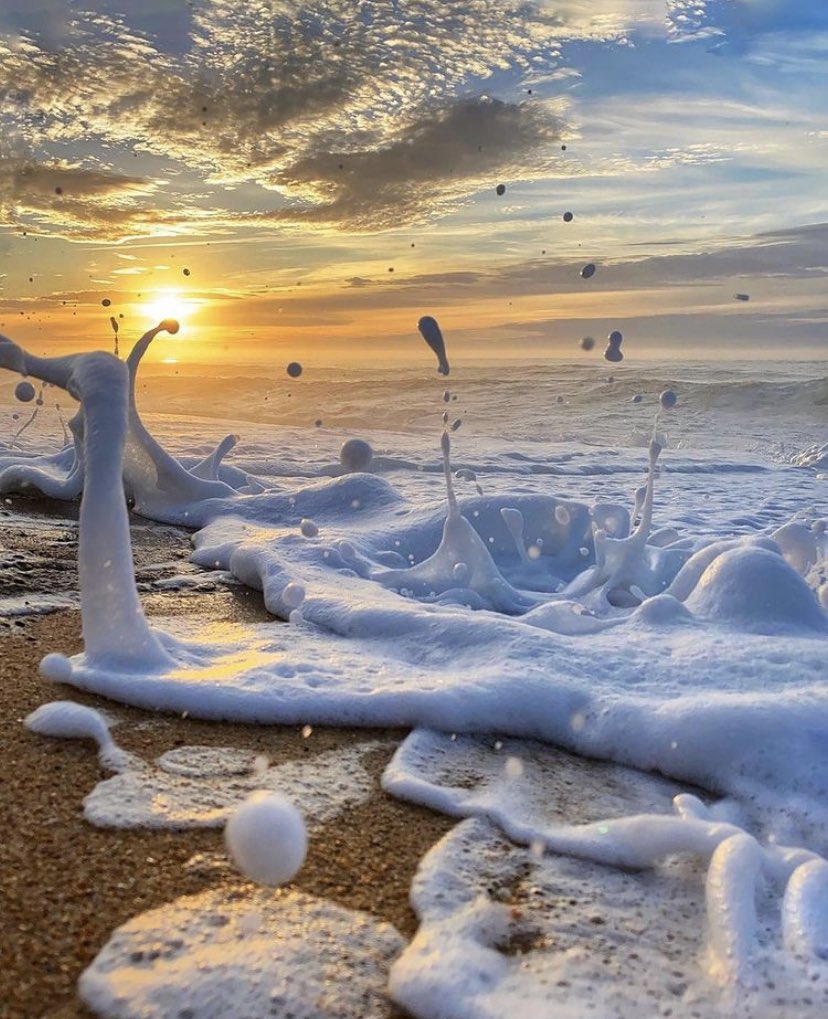 “Hiçbir zaman öpüşecek birini aramadık, bizim içi ölsün de demedik. Hani biraz sevse üstünü biz tamamlardık”🪵

#kocaeli #gebze #gebzeçarşı #2021NewYear