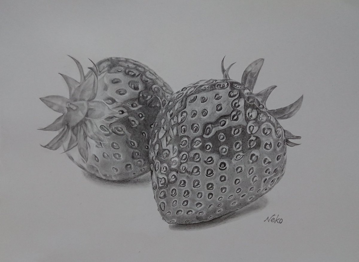 neko (=^・ｪ・^=)🐾🐾 on X