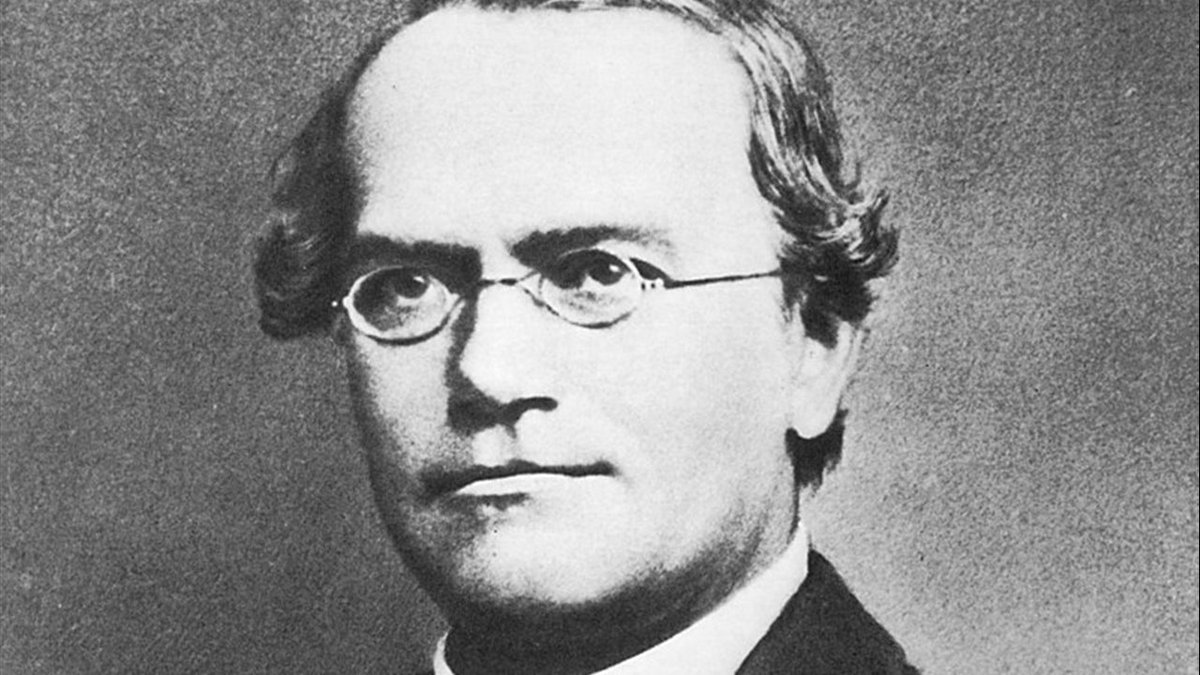 AseBio's tweet photo. Un día como hoy, hace unos 136 años, falleció Gregor Johann Mendel, biólogo que estableció las leyes de la herencia por cruzamiento de plantas. Desde entonces, aplicando sus técnicas, somos capaces de mejorar las propiedades de las plantas. 
#SomosBiotecnología
#ReyesMagos https://t.co/tZSv3G65Mo