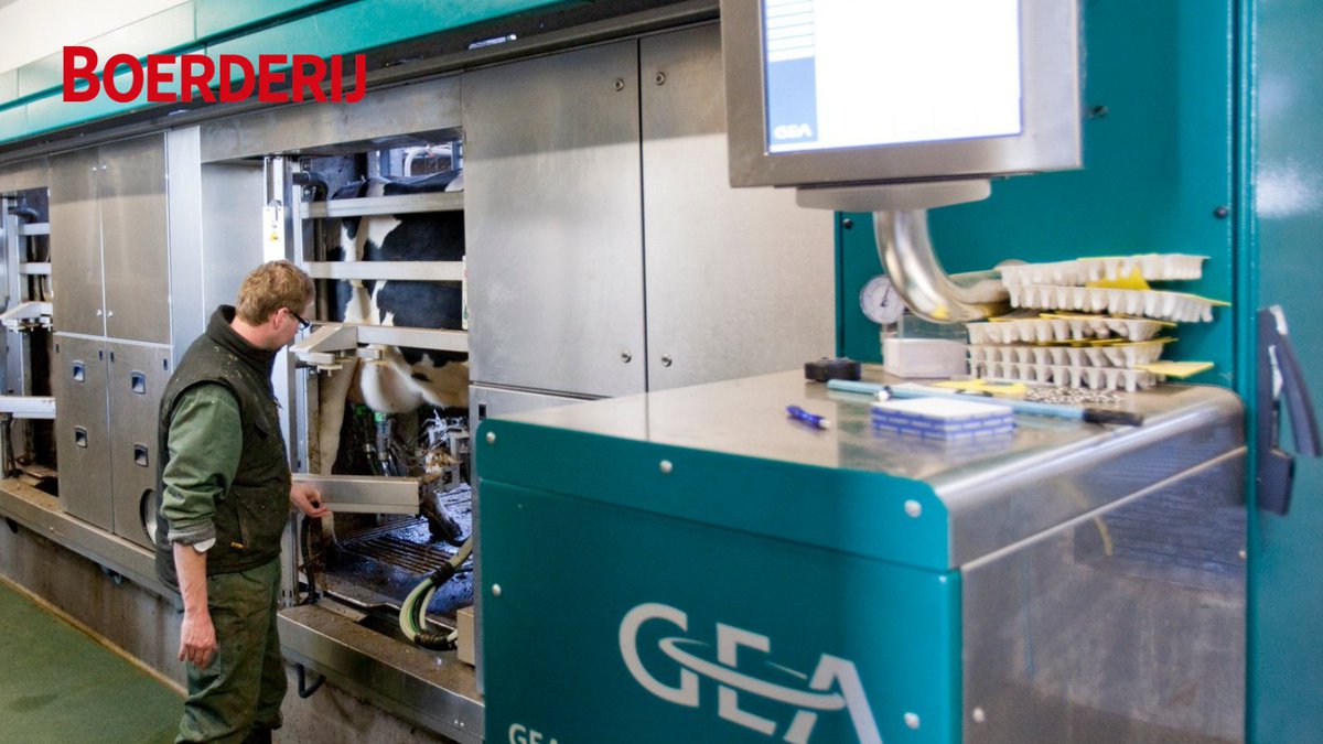 Boerderij_nl's tweet image. Het aantal bedrijven dat met een automatisch melksysteem melkt in Nederland is eind 2020 opgelopen tot 4.511. Lees meer: boerderij.nl/Rundveehouderi… #melkrobot #melkrobots