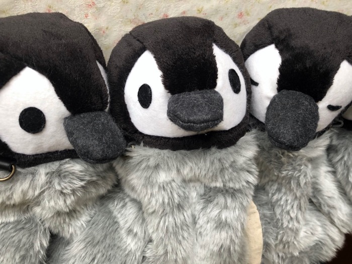 ペンギン トピック Penguin1topi Twitter