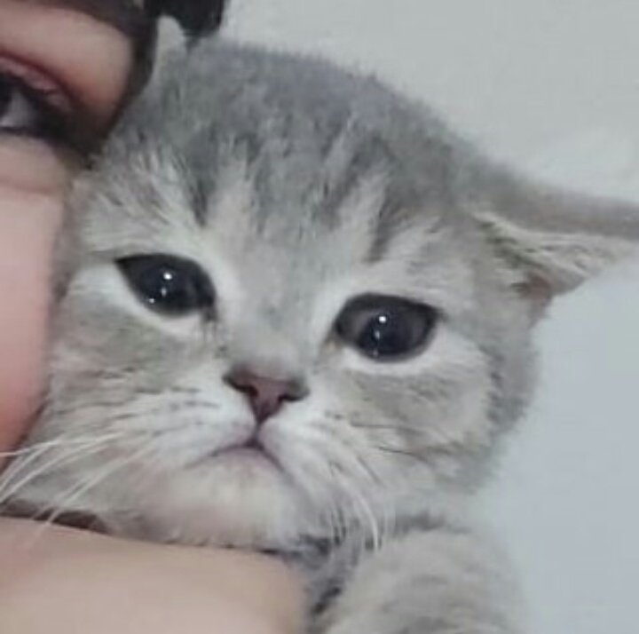 น้องอินจุนตอนแม่มุมุทั้งวัน ก็หม่าม๊ารักหนูหนิคะ