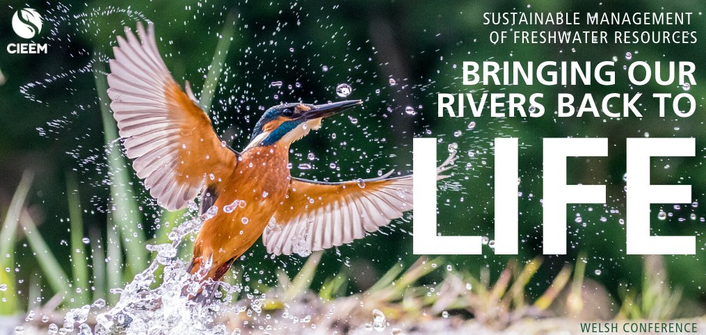 KoruEcology's tweet image. Not long now until the @CIEEMnet Wales conference: Bringing Our Rivers Back to Life. Get your ticket here👇 Some wonderful speakers confirmed including @SteveOrmerod @beaverafanc @WTWales @David26705956 @JDSouza_ @remotelysensibl @RiverSevernLisa &amp;amp; others. events.cieem.net/Events/EventPa…